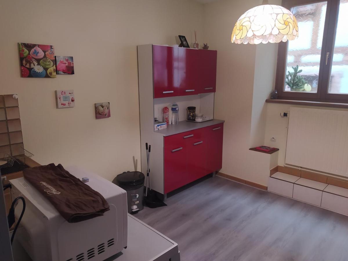 Chey Mybam, Agreable Maison Au Centre De Selestat Villa Екстериор снимка